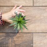 porcellanato medley beige 20x60