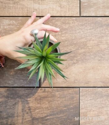 porcellanato medley beige 20x60