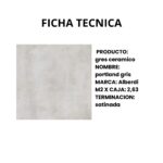 ALBERDI GRES CERAMICO PORTLAND GRIS 61x61 S/R 2DA - Imagen 3